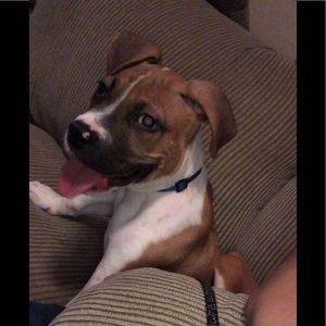 Meet your Posher, Fernando